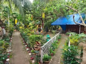 a village eco resort in konark near sun temple