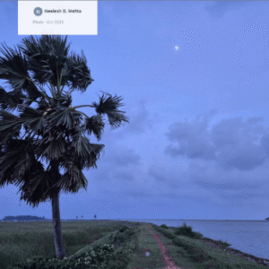 evenings at the river mouth wilddunes eco resort in konark