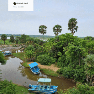 River view from the tower at our eco resort in konark